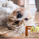 Protecting Your Hardwood Floors from Pet Damage